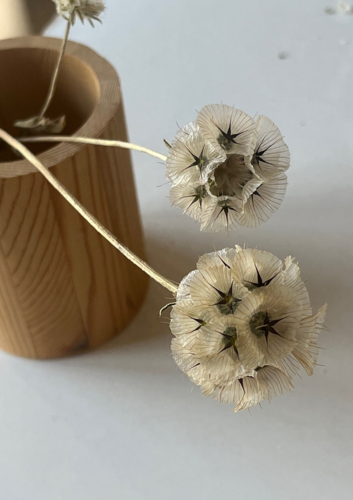 sai_ceramics_flor_de_scabiosa